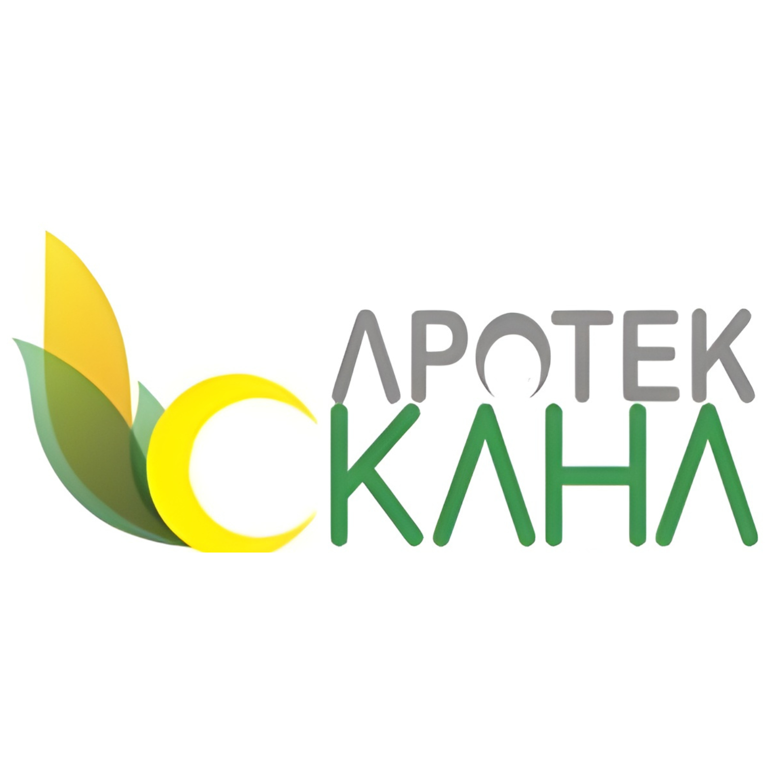 Partner Logo